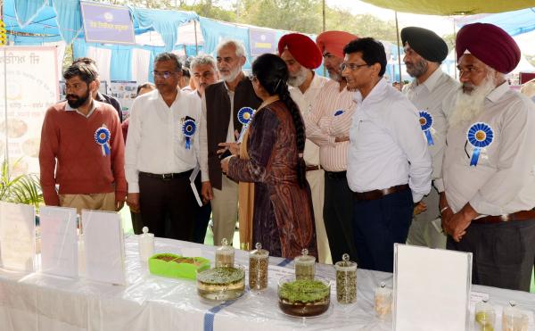 Dr. Sukhpal Singh, Dr. Rampal Mittal visited the stalls in Pashu Palan Mela on Dated 25-03-2023 